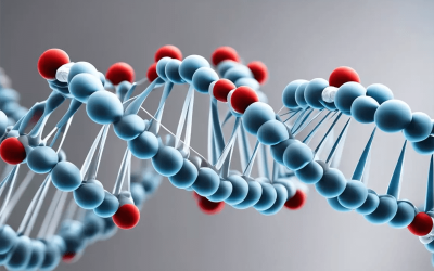 Singlera technologies 1: Methylation haplotyping