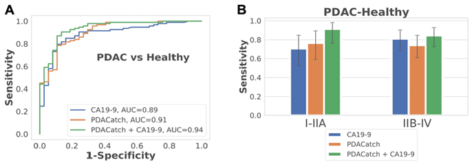PDACatch shows heightened sensitivity and specificity in separating pancreatic cancer from healthy controls in the training and validation sets, even in early stage disease, particularly when utilized in tandem with traditional blood biomarker, CA19-9.