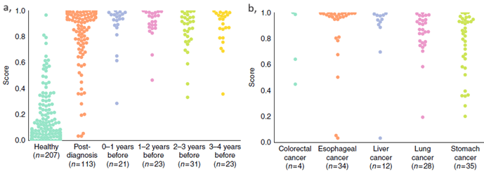 Sample classification is based on scores provided by the machine learning algorithm, the larger the separation between healthy and diseased, the better. a, PanSeer scores separated by healthy/post-diagnosis/pre-diagnosis. b, PanSeer scores of post-diagnosis samples separated by cancer type.